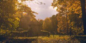 Unplugged Weekends: How to Plan One That Restores You