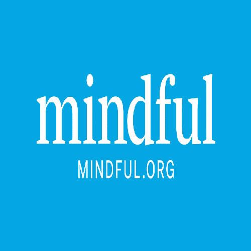 Mindful-500x500