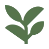 plants-herb-branch-leaves
