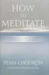 How to Meditate: A Practical Guide to Making Friends with Your Mind