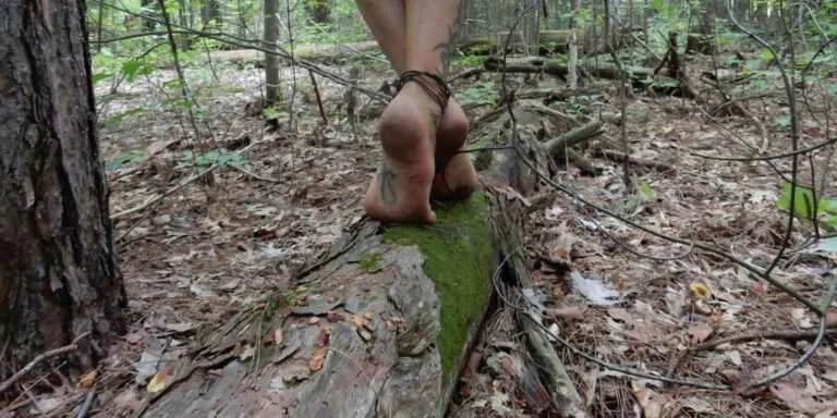 A person walking on a log in the woods